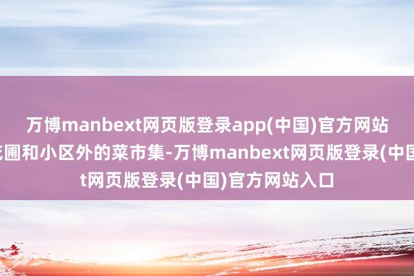 万博manbext网页版登录app(中国)官方网站不外是楼下的花圃和小区外的菜市集-万博manbext网页版登录(中国)官方网站入口